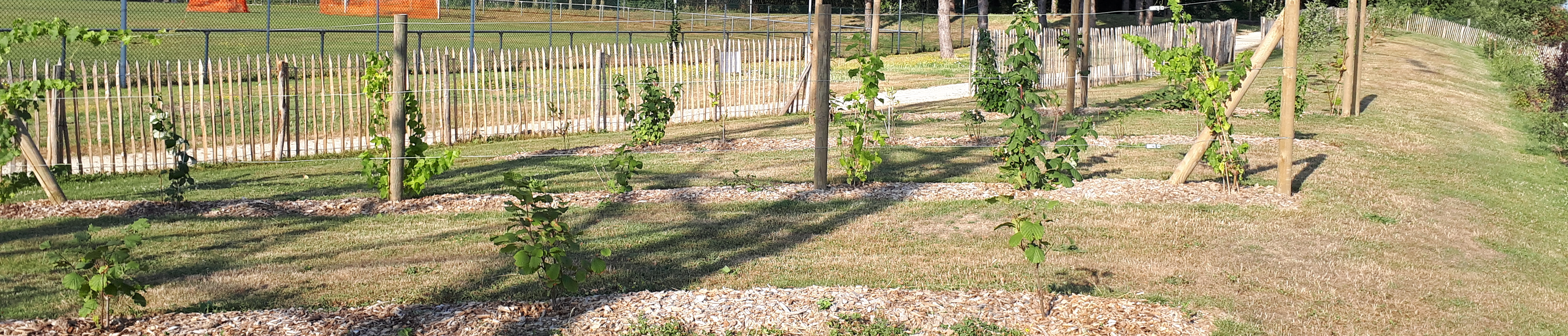 verger partagé de Moulin-du-Comte